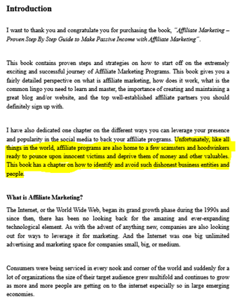First page - Affiliate Marketing by Mark Smith